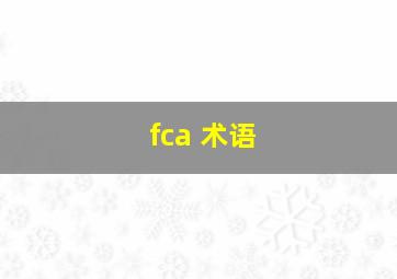 fca 术语